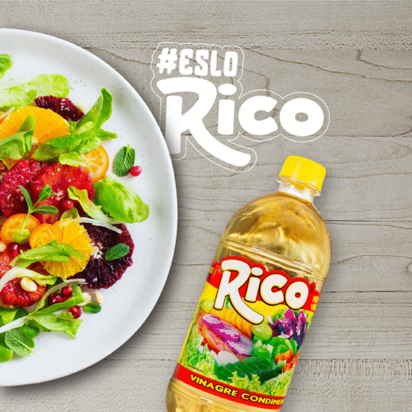 VINAGRE RICO 480ML